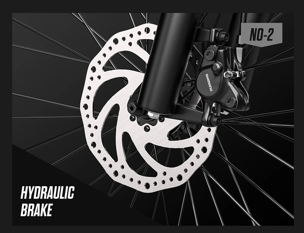 RANDRIDE YG90 Electric Mountain Bike with 1000W Motor and 48V 17Ah Battery