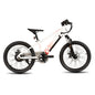 JOYSTAR Electric Bike for Kids & Teens Ages 7+, 250W Motor, 15 MPH Top Speed & 15-Mile Range