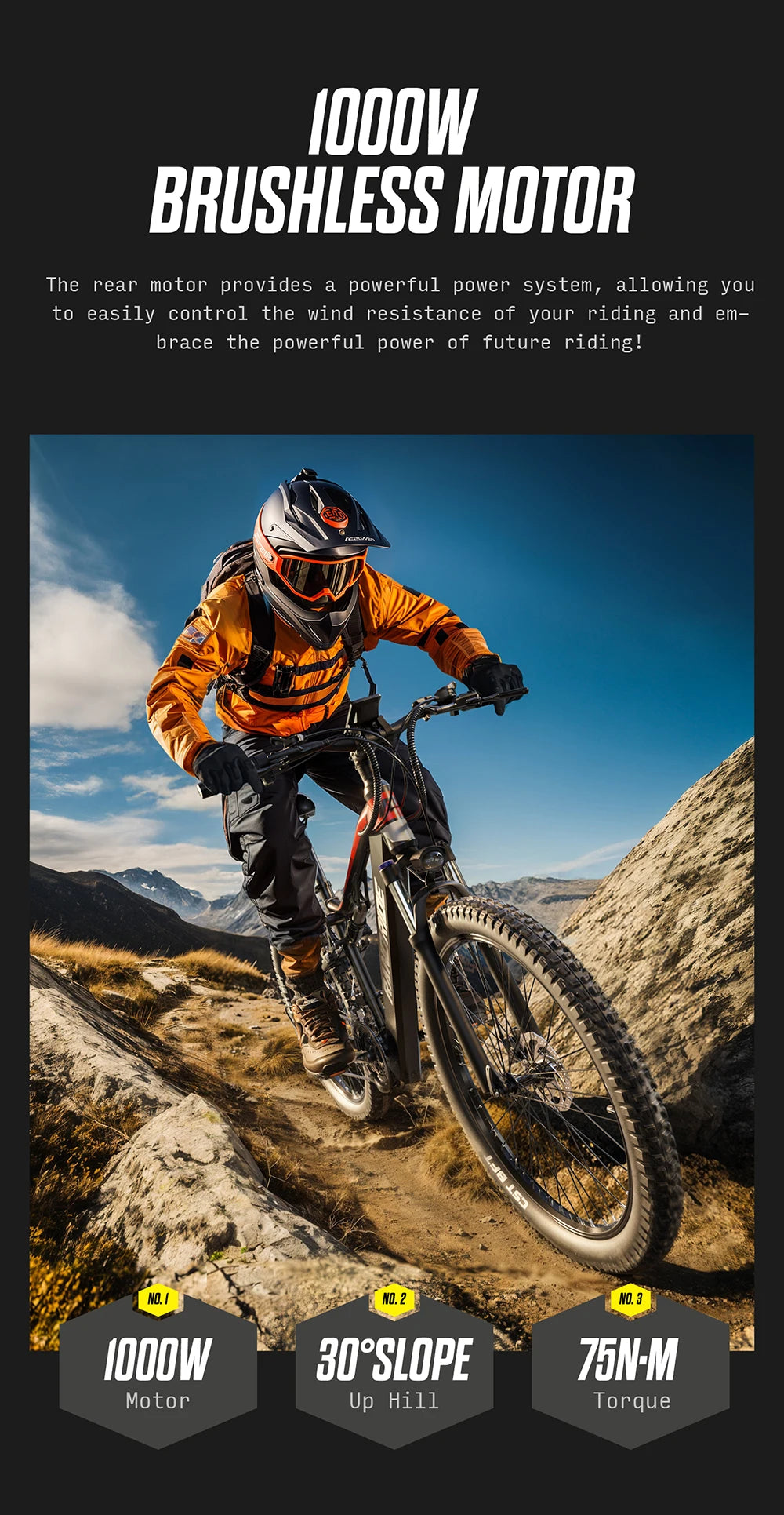 RANDRIDE YG90 Electric Mountain Bike with 1000W Motor and 48V 17Ah Battery