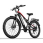 RANDRIDE YG90 Electric Mountain Bike with 1000W Motor and 48V 17Ah Battery